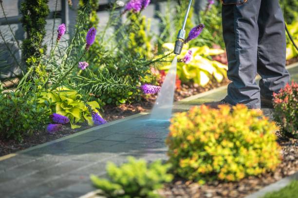 Best Gutter Cleaning  in Hanceville, AL